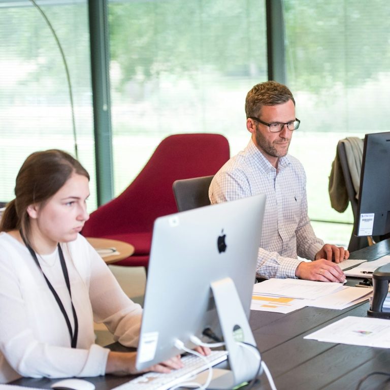 Vindilis recrutement